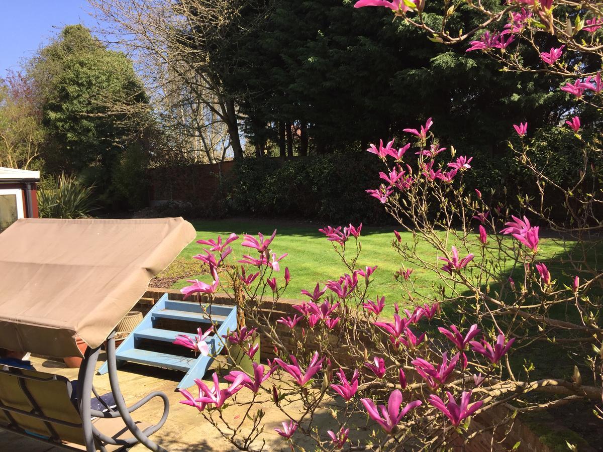 Riseden Bed&Breakfast Maidstone Exterior foto